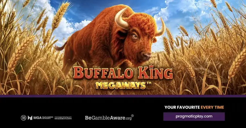 Buffalo King Megaways - grafika gry