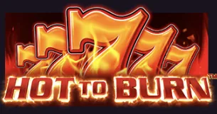 Hot to Burn - grafika gry