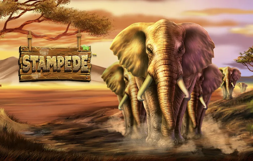 Stampede - grafika gry od Betsoft